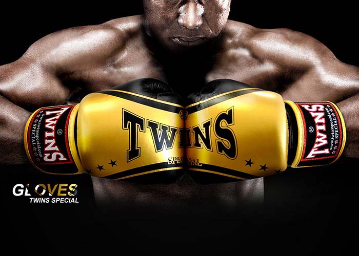 Twinsspecial ออกแบบเว็บไซต์